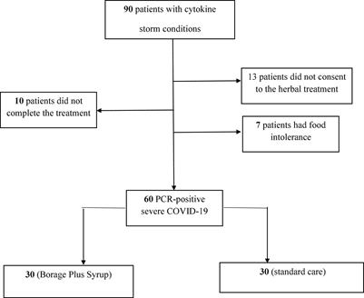 Effectiveness of Borage plus syrup on COVID-19 patients in intensive care units